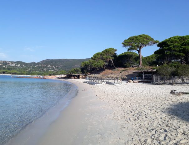 plage-palombaggia-location-porto-vecchio-4