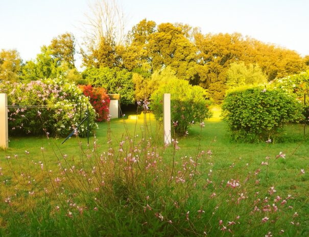 Le Jardin au Printemps